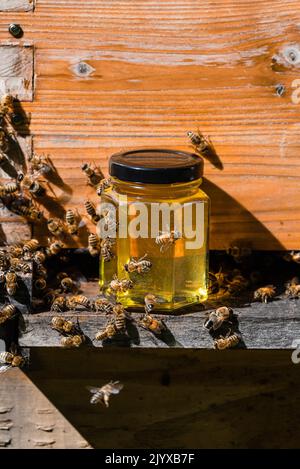 Petit pot de miel devant une ruche d'abeille avec des abeilles rampant sur le pot Banque D'Images