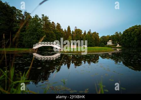 Ponts en bois dans le parc national de Lahemaa en Estonie. Banque D'Images