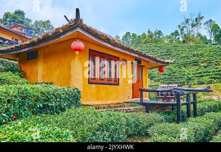 Plantation de thé Oolong dans le village de thé de Ban Rak Thai Yunnan avec ancienne maison en adobe, décorée avec des lanternes chinoises rouges et un toit panoramique traditionnel, T Banque D'Images