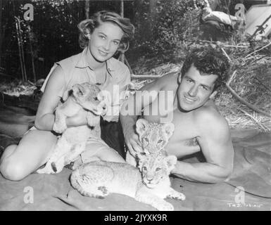 La jungle africaine a battu Tarzan. Il a pris sa retraite à Hollywood blessé. Tarzan, 6ft 3in ans, Gordon Scott, 15 pierres, a déclaré au départ : « J'ai été dans l'enfer ici ». 'Tarzan', Gordon Scott et son héroïne, Vera Miles, fondle lion Cubs, Eenie, minie et Moe entre le tournage de Tarzan's Hidden Jungle. 11 août 1955. Banque D'Images