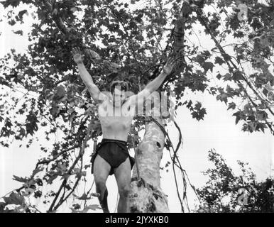 Gordon Scott devient le onzième Tarzan dans l'histoire des célèbres aventures dans la jungle. Basé sur un personnage créé par Edgar Rice Burroughs, « Tarzan's Hidden Jungle » est la dernière photo à rejoindre la longue lignée de ses prédécesseurs bourrés d'action. L'image a été produite par sol Lesser et sera distribuée par RKO radio. 14 octobre 1955. Banque D'Images