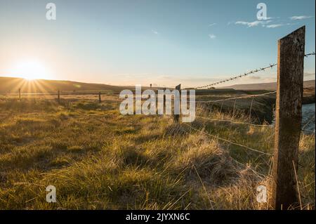 Solitaire au milieu de nulle part en Islande - camp de travail pour les volontaires d'amis du monde entier. Banque D'Images