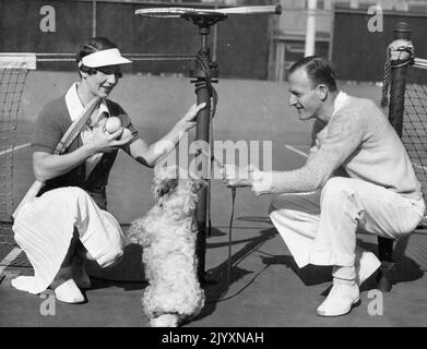 Champion's PET Dog -- Mme Helen Wills Moody, est liée au poste de la cour quand le champion du monde pratique à San Francisco. Aussi dans la photo est Phil Neer, qui joue fréquemment avec Mme Wills Moody. Ce dernier est en formation continue pour maintenir la forme qui lui a gagné le titre de Wimbledon. 13 janvier 1936. Banque D'Images