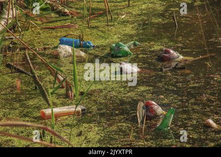 Duckweed et plastique, étain, déchets de caoutchouc dans la rivière. Le concept du problème écologique de la pollution de l'environnement. Banque D'Images