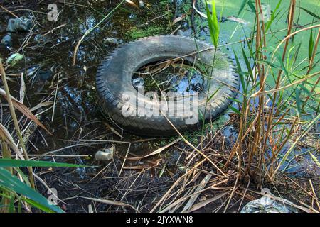 Duckweed et plastique, étain, déchets de caoutchouc dans la rivière. Le concept du problème écologique de la pollution de l'environnement. Banque D'Images