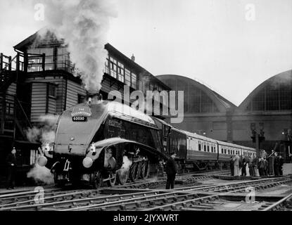 « The Elizabethan » part pour sa course la plus rapide - Une vue générale de « The Elizabethan » sortant de la gare de King's Cross pour le début de sa course record ce matin. 'The Elizabethan', le train non-stop entre Londres et Édimbourg, a quitté King's Cross ce matin pour sa première course cette année. C'est la deuxième année au cours de laquelle ce train a pris le nom de « l'Elizabethan » et cette année, le temps pour le trajet de 393 miles a été réduit à 6½ heures. C'est donc la première fois dans l'histoire des chemins de fer que la plus longue course non-stop quotidienne au monde a été chronométrée à une moyenne de Mo Banque D'Images