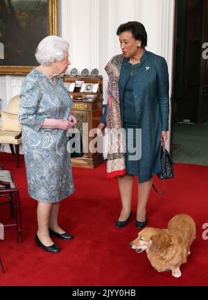 Photo du dossier datée du 111/4/2018 de la reine Elizabeth II (à gauche) recevant la secrétaire générale du Commonwealth, la baronne Patricia Scotland, lors d'une audience dans la salle Oak du château de Windsor, dans le Berkshire. Pendant son règne, la Reine possédait plus de 30 corgis, dont beaucoup de descendants directs de Susan, qui lui a été donné comme cadeau de 18th ans par ses parents en 1944 et a été tellement aimée qu'elle a accompagné la princesse Elizabeth lors de sa lune de miel. Date de publication : jeudi 8 septembre 2022. Banque D'Images