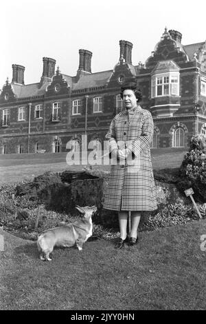 Photo du dossier datée du 6/2/1982 de la reine Elizabeth II avec un corgi dans le domaine de la maison Sandringham, Norfolk, pour marquer le 30th anniversaire de l'accession de la reine au trône. Pendant son règne, la Reine possédait plus de 30 corgis, dont beaucoup de descendants directs de Susan, qui lui a été donné comme cadeau de 18th ans par ses parents en 1944 et a été tellement aimée qu'elle a accompagné la princesse Elizabeth lors de sa lune de miel. Date de publication : jeudi 8 septembre 2022. Banque D'Images