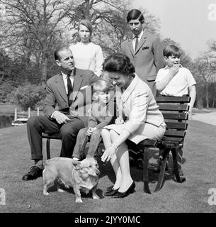 Photo du dossier datée du 21/4/1968, d'un prince Edward de quatre ans et d'un animal de compagnie Corgi attirant l'attention de la reine Elizabeth II alors que la famille royale posaient dans les jardins de Frogmore, à Windsor, pour des photos d'anniversaire spéciales. Pendant son règne, la Reine possédait plus de 30 corgis, dont beaucoup de descendants directs de Susan, qui lui a été donné comme cadeau de 18th ans par ses parents en 1944 et a été tellement aimée qu'elle a accompagné la princesse Elizabeth lors de sa lune de miel. Date de publication : jeudi 8 septembre 2022. Banque D'Images