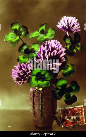 Carte postale française vintage représentant des pivoines violettes. La pivoine est une plante en fleurs du genre Paeonia, le seul genre de la famille des Paeoniaceae. Ils sont originaires d'Asie, d'Europe et de l'ouest de l'Amérique du Nord. La pivoine porte le nom de Paeon (également orthographié paean), un étudiant d'Asclepius, le dieu grec de la médecine et de la guérison. Quand Asclépius devint jaloux de son élève, Zeus sauva Paeon de la colère d'Asclépius en le transformant en fleur de pivoine Banque D'Images