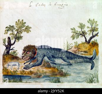Triton; un dieu grec mythologique, le messager de la mer. Il est le fils de Poséidon et Amphitrite, dieu et déesse de la mer. Illustration du siècle 16th Banque D'Images