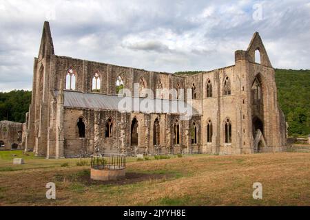 Ruines de l'abbaye cistercienne de Tintern à Monbucshire, sur la rive galloise de la rivière Wye, au pays de Galles Banque D'Images