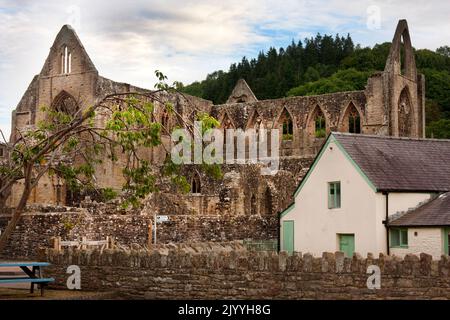 Ruines de l'abbaye cistercienne de Tintern à Monbucshire, sur la rive galloise de la rivière Wye, au pays de Galles Banque D'Images