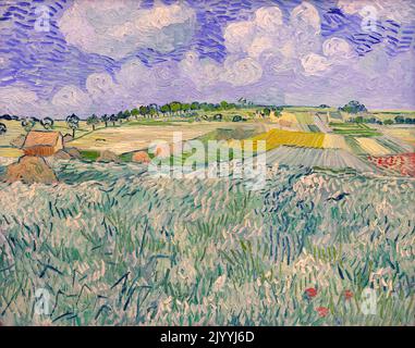 Plaine près d'Auvers, Vincent van Gogh, 1890, Neue Pinakothek, Munich, Allemagne, Europe Banque D'Images