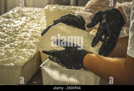 Le processus de production de différentes variétés de fromage dans l'industrie. Fabrication de fromage à partir de lait naturel et préservation des traditions Banque D'Images