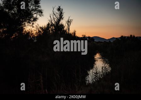 Parc naturel dels Aiguamolls de l'Empordà parc naturel marécageux au coucher du soleil, Gérone, Catalogne, Espagne Banque D'Images