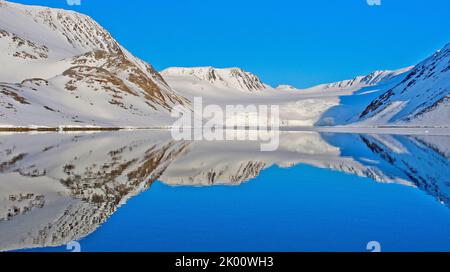 Terres arctiques, baie Holmiabukta, Raudefjord, terre Albert I, Arctique, Spitzbergen, Svalbard, Norvège, Europe Banque D'Images