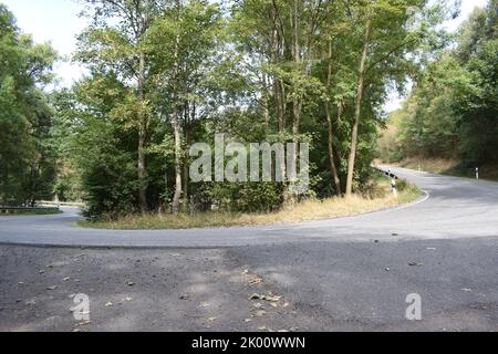 route sinueuse dans la forêt verte Banque D'Images