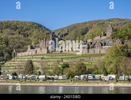 Château de Reichenstein (Burg Reichenstein), également connu sous le nom de Falkenburg, Trechtingshausen Banque D'Images