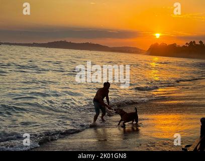 Montecito, Californie, États-Unis. 8th septembre 2022. L'homme et le chien jouent au coucher du soleil à Butterfly Beach, Montecito, CA. (Image de crédit : © Amy Katz/ZUMA Press Wire) Banque D'Images