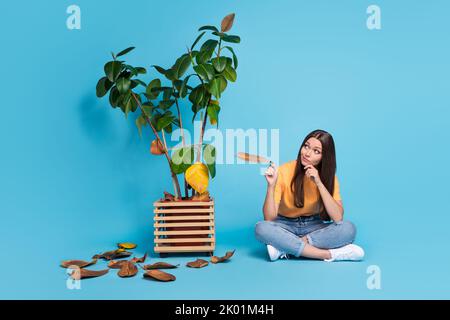 Photo d'une fille pensive habillée t-shirt jaune tenant une feuille jaune regardant avec une fleur isolée couleur bleue arrière-plan Banque D'Images