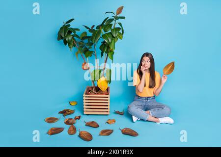 Photo d'une fille inquiet habillée t-shirt jaune timbré doigt tenant la feuille jaune regardant avec fleur isolée couleur bleue arrière-plan Banque D'Images