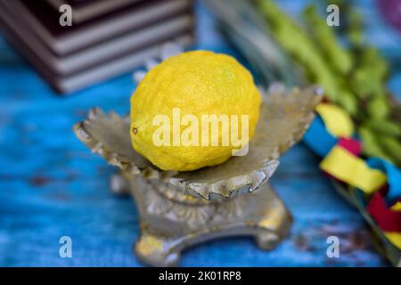 C'est une fête religieuse de tabernacles marquée par le rituel de l'etrog agrumes, qui est un symbole de la fête juive de Sukkot Banque D'Images