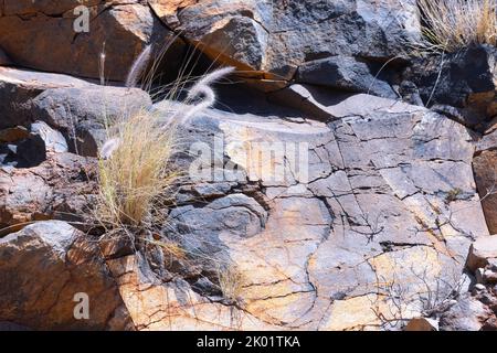 Arrière-plan de roche colorée avec herbe, la Palma, îles Canaries Banque D'Images