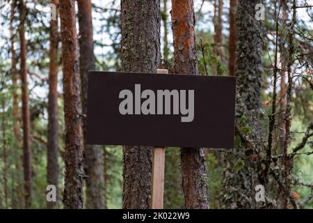 Signe blanc foncé avec la texture de surface dans la forêt en été avec des pins en arrière-plan Banque D'Images