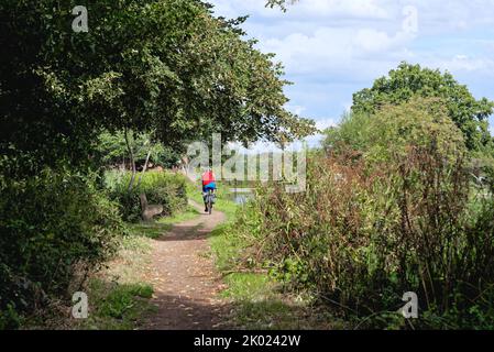 Un cycliste dans un sommet rouge sur le chemin de halage près de l'écluse de Papercourt sur le canal de navigation de la rivière Wey, un jour d'été, près de Ripley Surrey, Angleterre, Royaume-Uni Banque D'Images