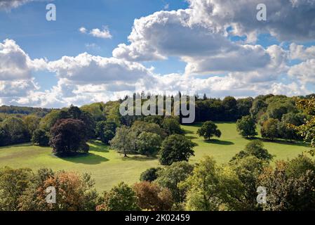 La campagne à Ranmore Common à la fin d'un jour d'été dans les collines de Surrey, Angleterre Banque D'Images