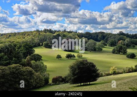 La campagne à Ranmore Common à la fin d'un jour d'été dans les collines de Surrey, Angleterre Banque D'Images