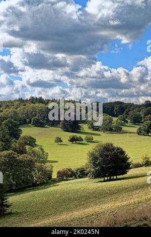 La campagne à Ranmore Common à la fin d'un jour d'été dans les collines de Surrey, Angleterre Banque D'Images