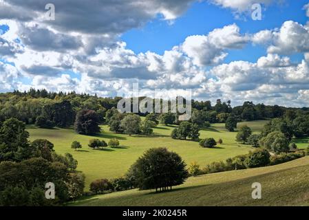 La campagne à Ranmore Common à la fin d'un jour d'été dans les collines de Surrey, Angleterre Banque D'Images
