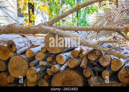 Les bois sont empilés dans le jardin d'une maison rurale. Le bois de chauffage est en plein air. Préparation de carburant pour la maison pour l'hiver. Banque D'Images