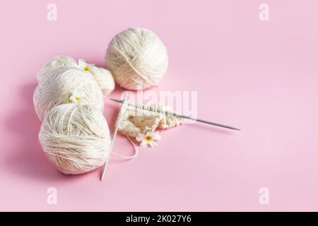 Boules blanches de fil avec aiguilles à tricoter sur un fond rose pour tricoter des vêtements chauds avec blanc printemps fleurs primrose, passe-temps Banque D'Images