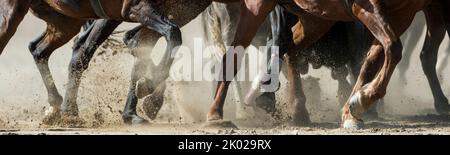 Détail des jambes de chevaux les uns à travers les autres lors d'un match de Kok-boru aux World Nomad Games 2018 hébergés au Kirghizistan. Banque D'Images