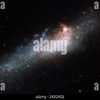 La Galaxie des bâtons de hockey, située dans la constellation des Canes Venatici Banque D'Images