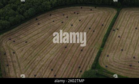 Une vue d'ensemble des terres agricoles cultivées avec balles de foin en Irlande Banque D'Images