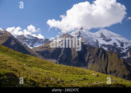 Autriche, Salzbourg, Carinthie, Parc national Hohe Tauern, Grossglockner High Alpine Road, un paysage de montagne dans les Hautes Alpes, avec des grimpeurs sur la prairie verte en premier plan et des montagnes enneigées sous le ciel bleu en arrière-plan. Banque D'Images