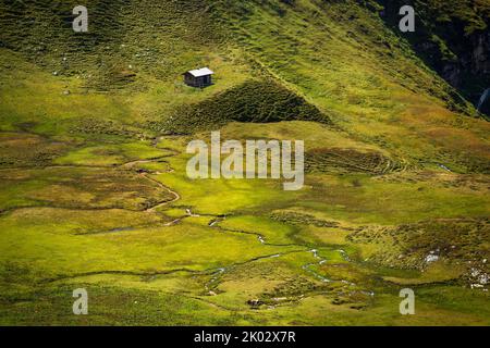 Autriche, Salzbourg, Carinthie, parc national Hohe Tauern, Grossglockner High Alpine Road, prairie verte idyllique avec une cabane alpine dans les hautes Alpes par une journée ensoleillée au printemps Banque D'Images