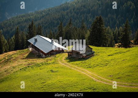 Autriche, Carinthie, Heiligenblut am Großglockner, maison alpine sur la prairie verte en été, derrière la forêt Banque D'Images