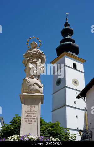 Allemagne, Bavière, haute-Bavière, Comté de Traunstein, Waging am See, Place du marché, colonne Sainte-Marie, église paroissiale Saint-Martin Banque D'Images