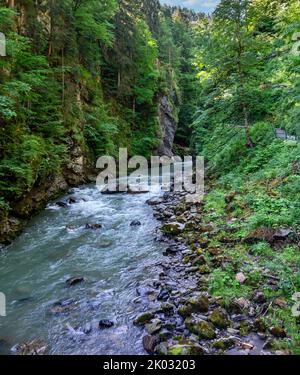 Le Breitachklamm est une gorge créée par le fleuve Breitach dans l'Allgäu près de Tiefenbach, un quartier de la municipalité d'Oberstdorf. Il est d'environ 150m de profondeur et à côté de la Höllentalklamm la gorge la plus profonde des Alpes bavaroises. Vers 300, 000 000 visiteurs font de la randonnée dans les gorges de 2,5 km de long chaque année. Banque D'Images