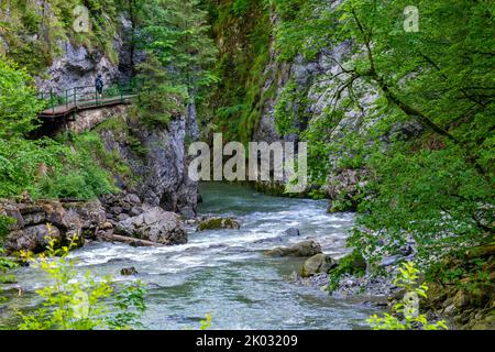 Le Breitachklamm est une gorge créée par le fleuve Breitach dans l'Allgäu près de Tiefenbach, un quartier de la municipalité d'Oberstdorf. Il est d'environ 150m de profondeur et à côté de la Höllentalklamm la gorge la plus profonde des Alpes bavaroises. Vers 300, 000 000 visiteurs font de la randonnée dans les gorges de 2,5 km de long chaque année. Banque D'Images