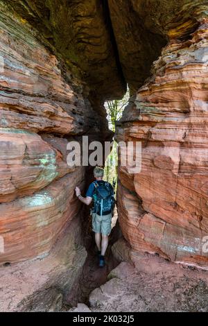 Les rochers du Vieux Château (également appelés Château d'Eppenbrunn) sont un ensemble de rochers en grès rouge sur le territoire de la municipalité d'Eppenbrunn dans la forêt du Palatinat, désigné comme monument naturel. Banque D'Images