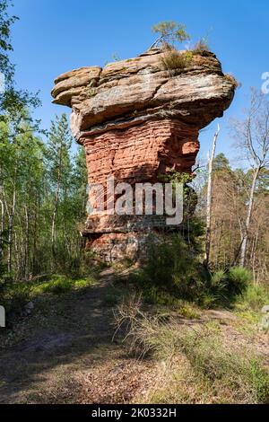 Le Teufelstisch d'Eppenbrunn, d'environ 12 m de haut, est un rocher frappant de champignons de grès rouge dans le Wasgau, dans la forêt du sud du Palatinat. Banque D'Images