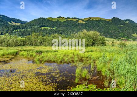 Autriche, Tyrol, Kaiserwinkl, Walchsee, Schwaigs, Landes de Schwemm, étang de la chapelle Banque D'Images