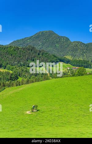 Allemagne, Bavière, Comté de Rosenheim, Oberaudorf, Zimmerau, Vue sur Wildbarren Banque D'Images