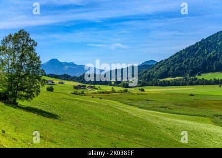 Autriche, Tyrol, Kaiserwinkl, Walchsee, Schwaigs, Schwemm Moorland, vue du sud Banque D'Images